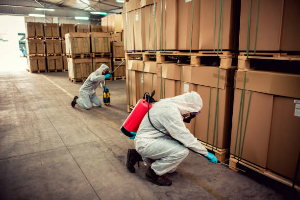 Flea Control Services in English Creek, NJ