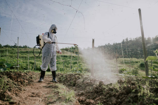 Best Best Pest Control Companies  in English Creek, NJ