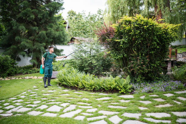 Best Pest Removal Services  in English Creek, NJ