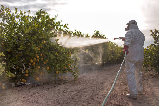 Best Pest Inspection Near Me  in English Creek, NJ