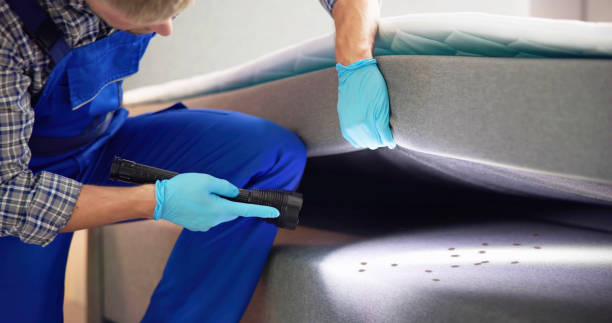 Best Commercial Pest Control Services  in English Creek, NJ