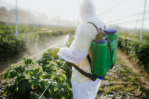 Trusted English Creek, NJ Pest Control Experts